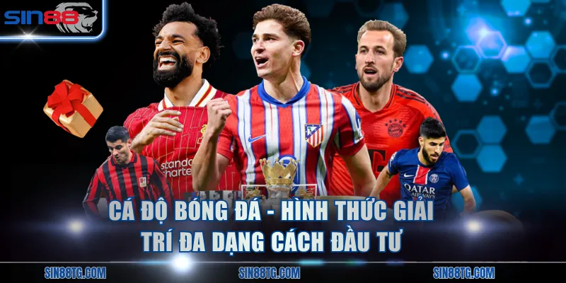 Cá độ bóng đá - Hình thức giải trí đa dạng cách đầu tư