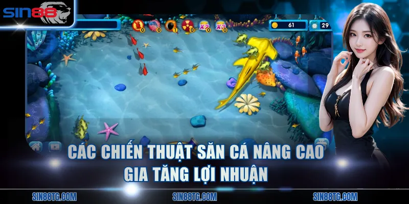 Các chiến thuật săn cá nâng cao gia tăng lợi nhuận