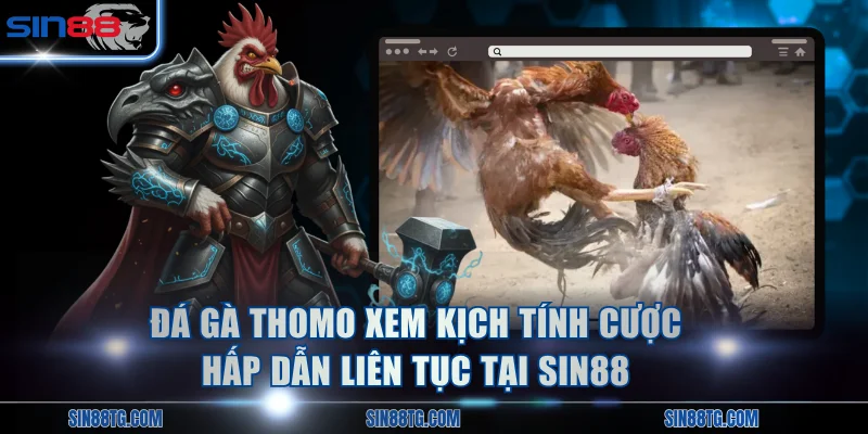 Đá Gà Thomo