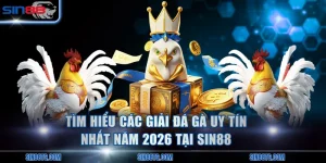 Giải Đá Gà Uy Tín