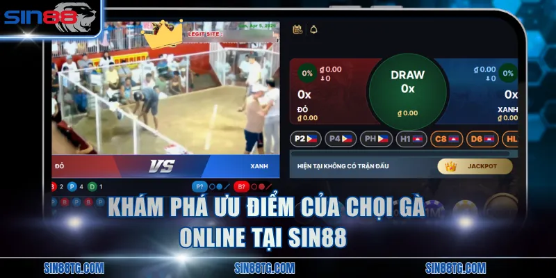 Khám phá ưu điểm của chọi gà online tại SIN88 