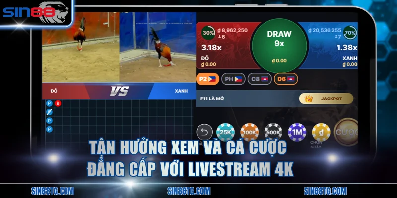 Tận hưởng xem và cá cược đẳng cấp với livestream 4K