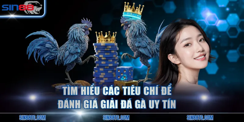 Tìm hiểu các tiêu chí để đánh giá giải đá gà uy tín